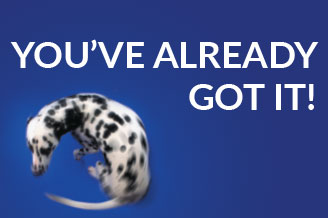 You've Already Got It!